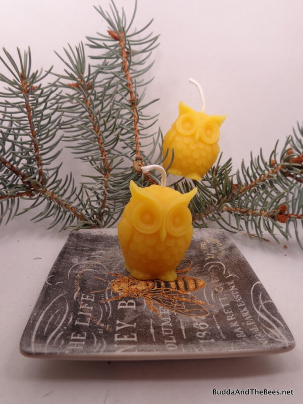 Buddha And The Bees 100% Pure Beeswax Little Owl Candle